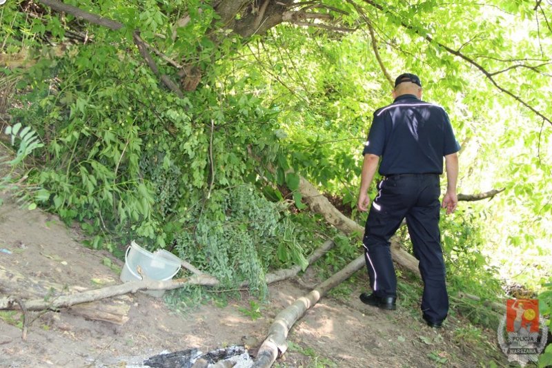 Ojciec mieszkał z 4-letnim synem w "szałasie" (na zdjęciu), robił mu "obóz przetrwania". Nieodpowiedzialny?