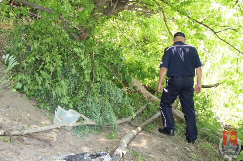 Ojciec mieszkał z 4-letnim synem w "szałasie" (na zdjęciu), robił mu "obóz przetrwania". Nieodpowiedzialny?