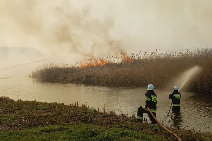 Minister Michał Woś ujawnił skalę strat po pożarze w Biebrzy.