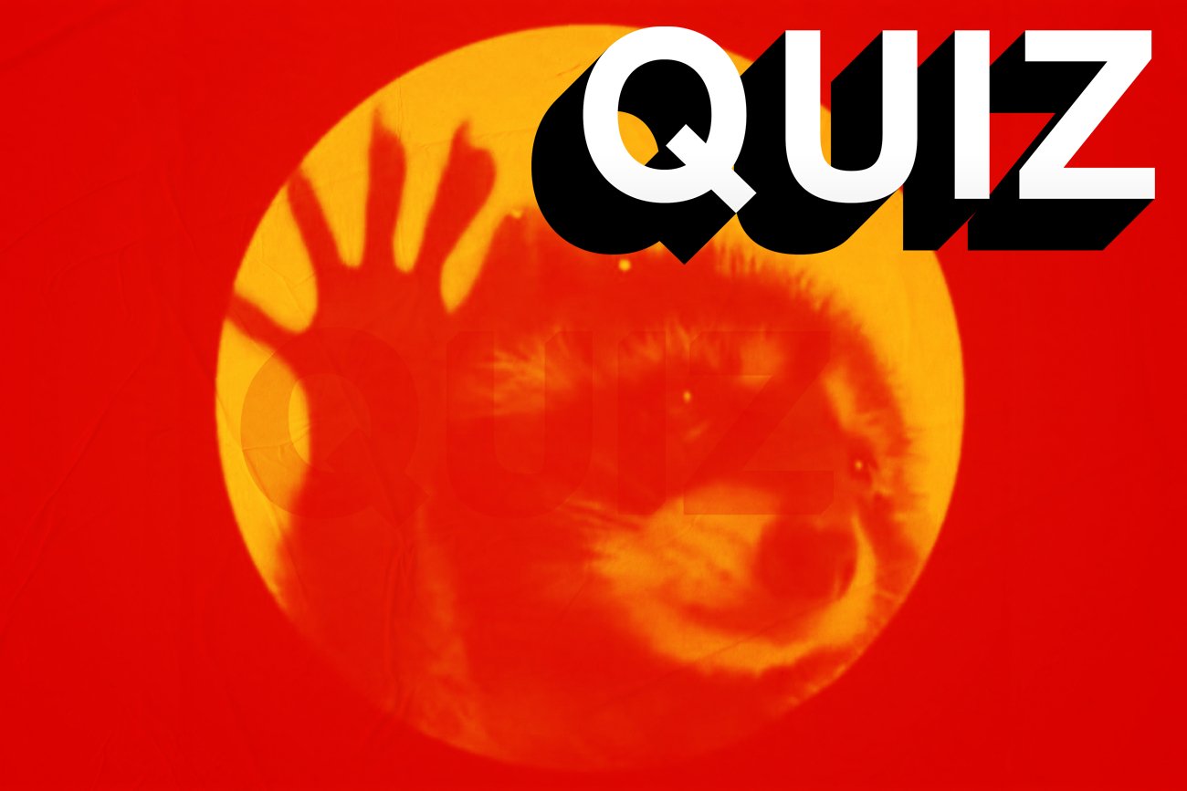 Quiz o trendach na Tik-Toku.