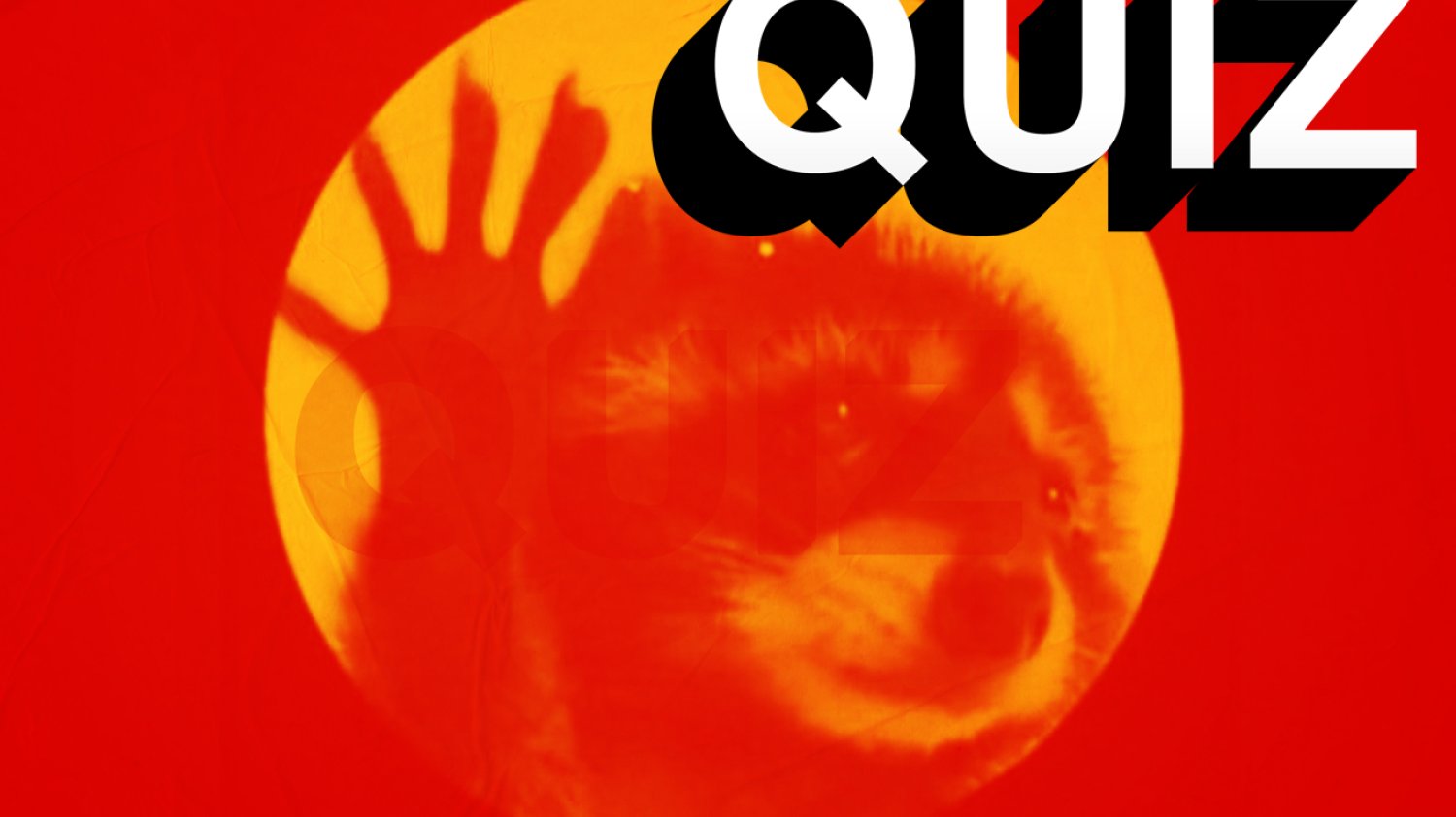 Quiz o trendach na Tik-Toku.