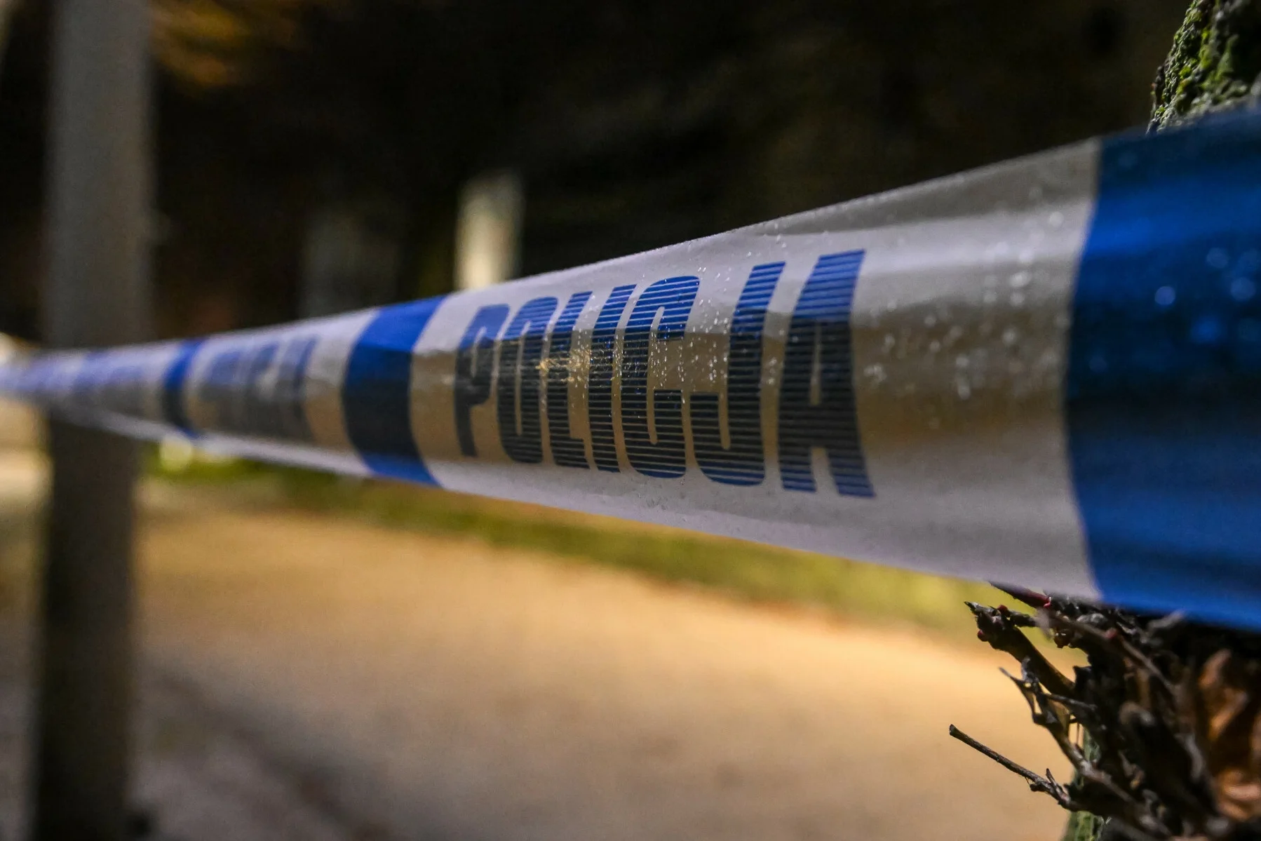 Policja, zdjęcie ilustracyjne