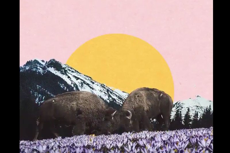 Komisja Europejska zamieściła na Twitterze spot z okazji polskiego Święta Niepodległości.