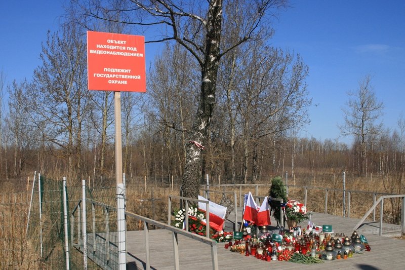 Brzoza obok miejsca upadku rządowego samolotu. Tkwią w niej metalowe fragmenty Tu-154. Można przekonać się naocznie. Wystarczy kupić jedną z wielu wycieczek. Ceny z reguły powyżej 1500 zł.