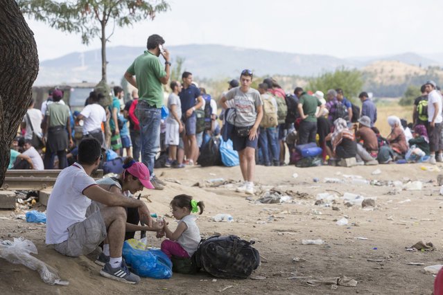 Niemcy zgubili 130 tys. imigrantów.
