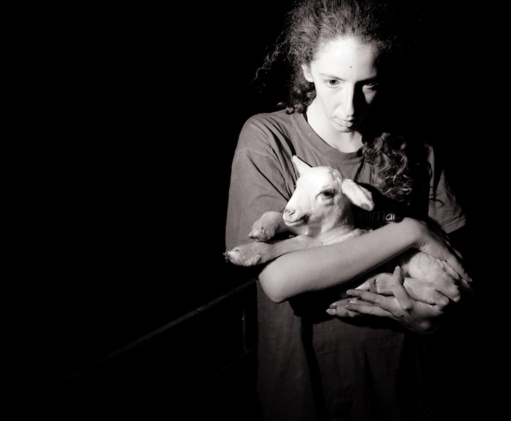 fot. Jo-Anne McArthur