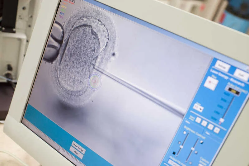 Jarosław Gowin zarzuca in vitro niską skuteczność. Ale przytacza dane, które zna chyba tylko on.