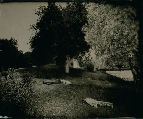 autor Karl Burke z projektu The Harvest of Death v.2