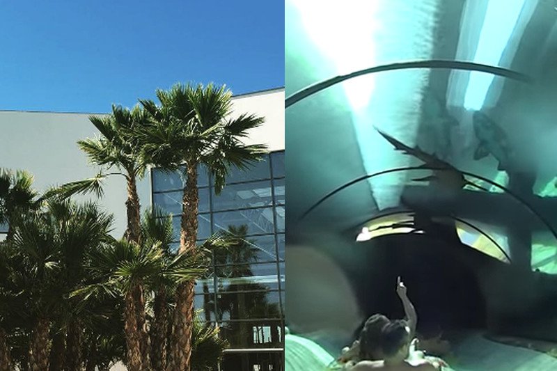 Aquapark Reda to jedyne miejsce w Polsce, gdzie można zjechać przeszklonym tunelem do akwarium z rekinami.