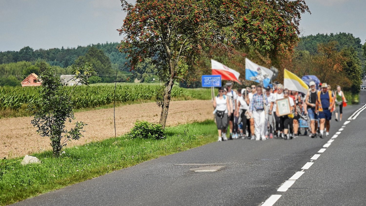 Wypadek podczas pielgrzymki na Jasną Górę. (zdjęcie poglądowe)