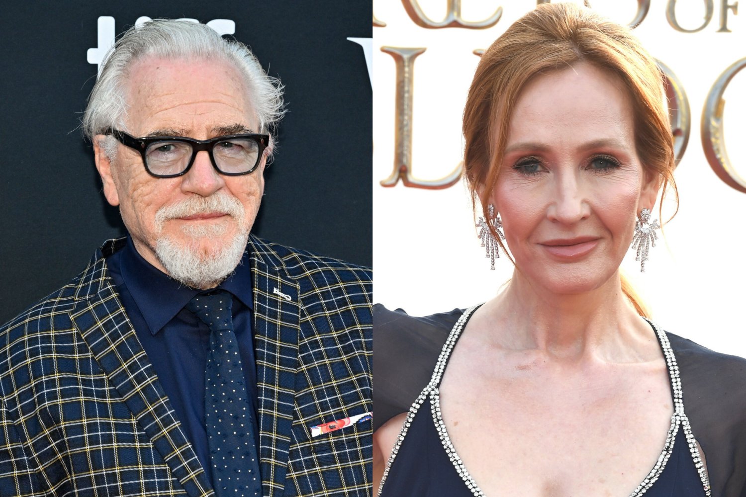 Brian Cox, J.K. Rowling, tranfobia Brian Cox, J.K. Rowling