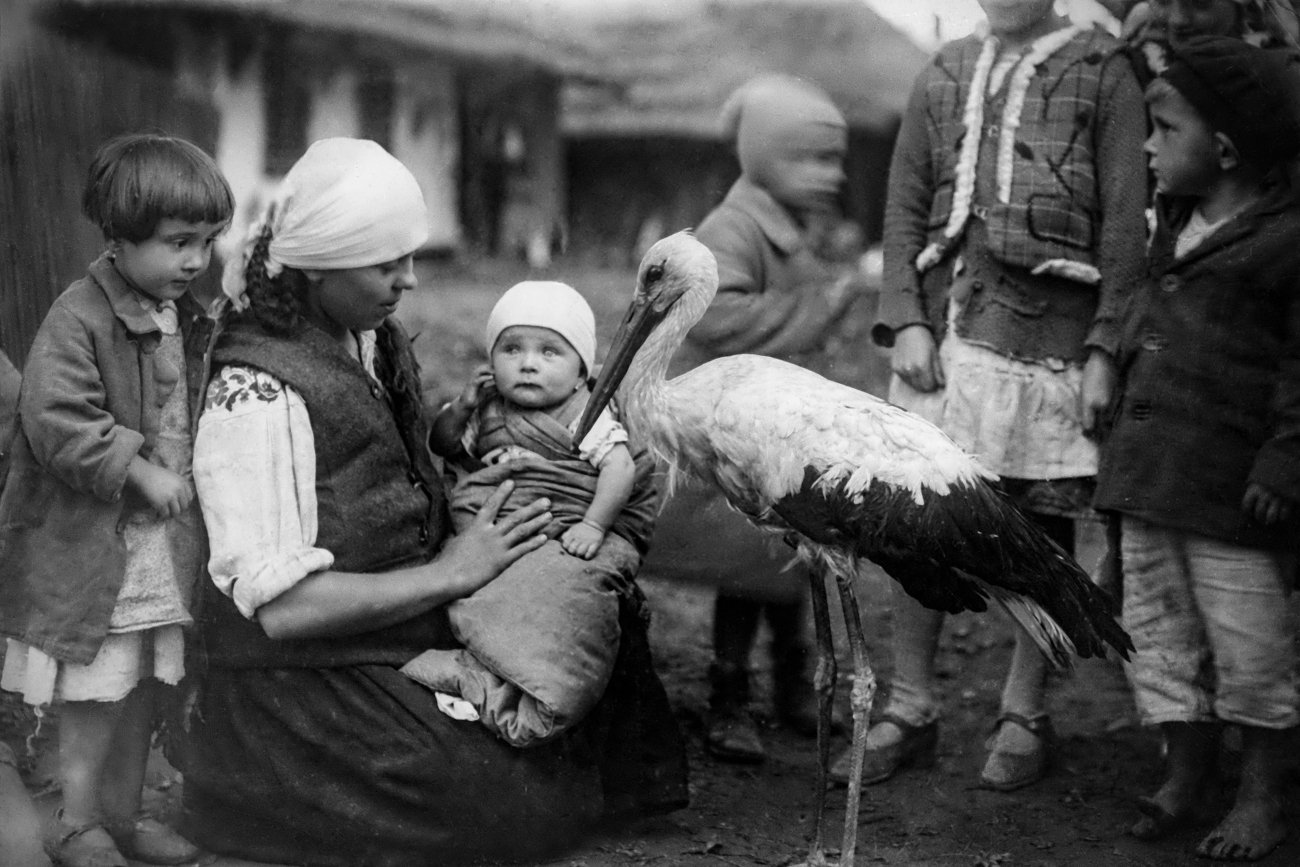 Galeria fotografii ILEX PHOTO organizuje aukcję charytatywną dla Ukrainy.