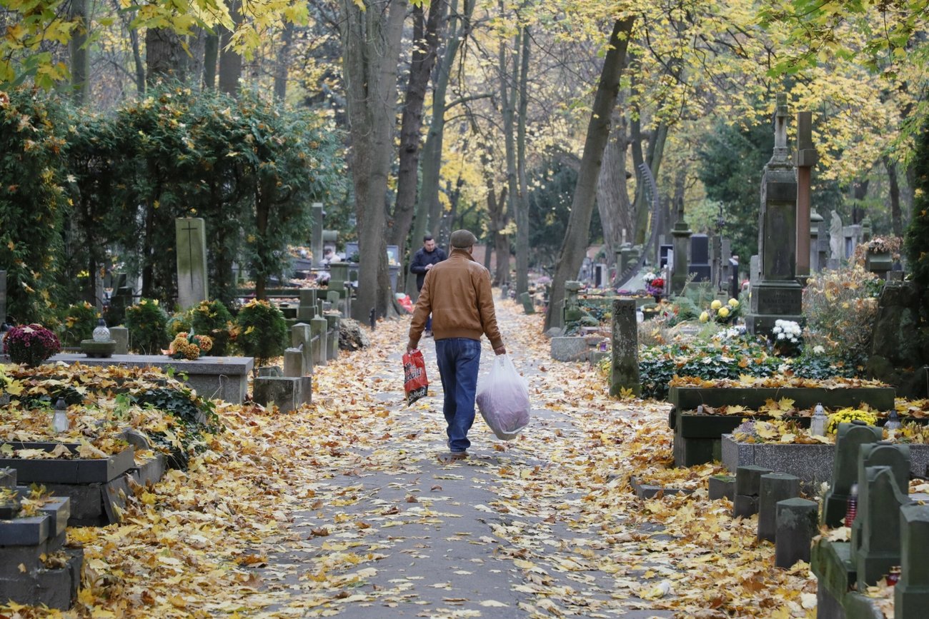 Jaka pogoda na Wszystkich Świętych (1 listopada 2021)?