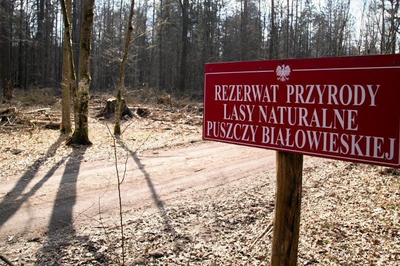 Zdaniem KE Polska narusza unijny system ochrony.