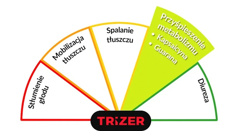 Trizer - przyśpieszenie metabolizmu
