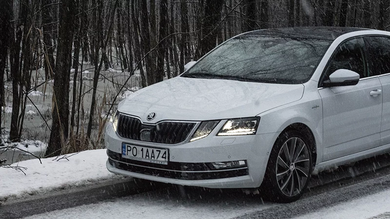 Spójrzcie na podmokły, zmrożony las. Było naprawdę zimno i ślisko, ale Skoda była niewzruszona.