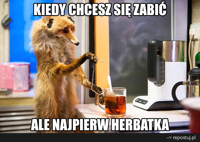 Przypomina się pewien słynny mem...