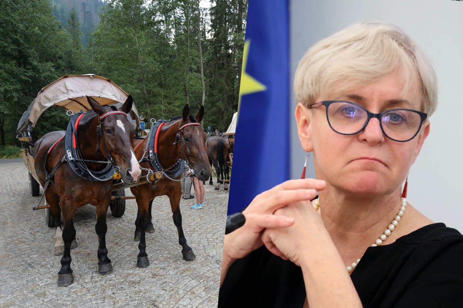 Czy konie nad Morskim Okiem to obciach? Nie zdaniem części posłanek KO