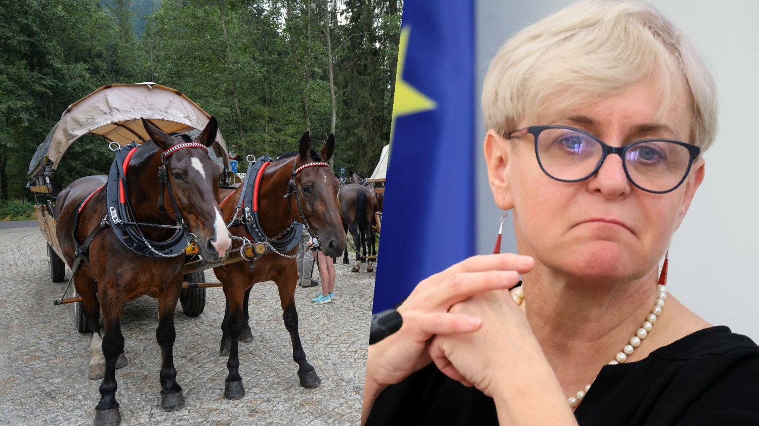 Czy konie nad Morskim Okiem to obciach? Nie zdaniem części posłanek KO