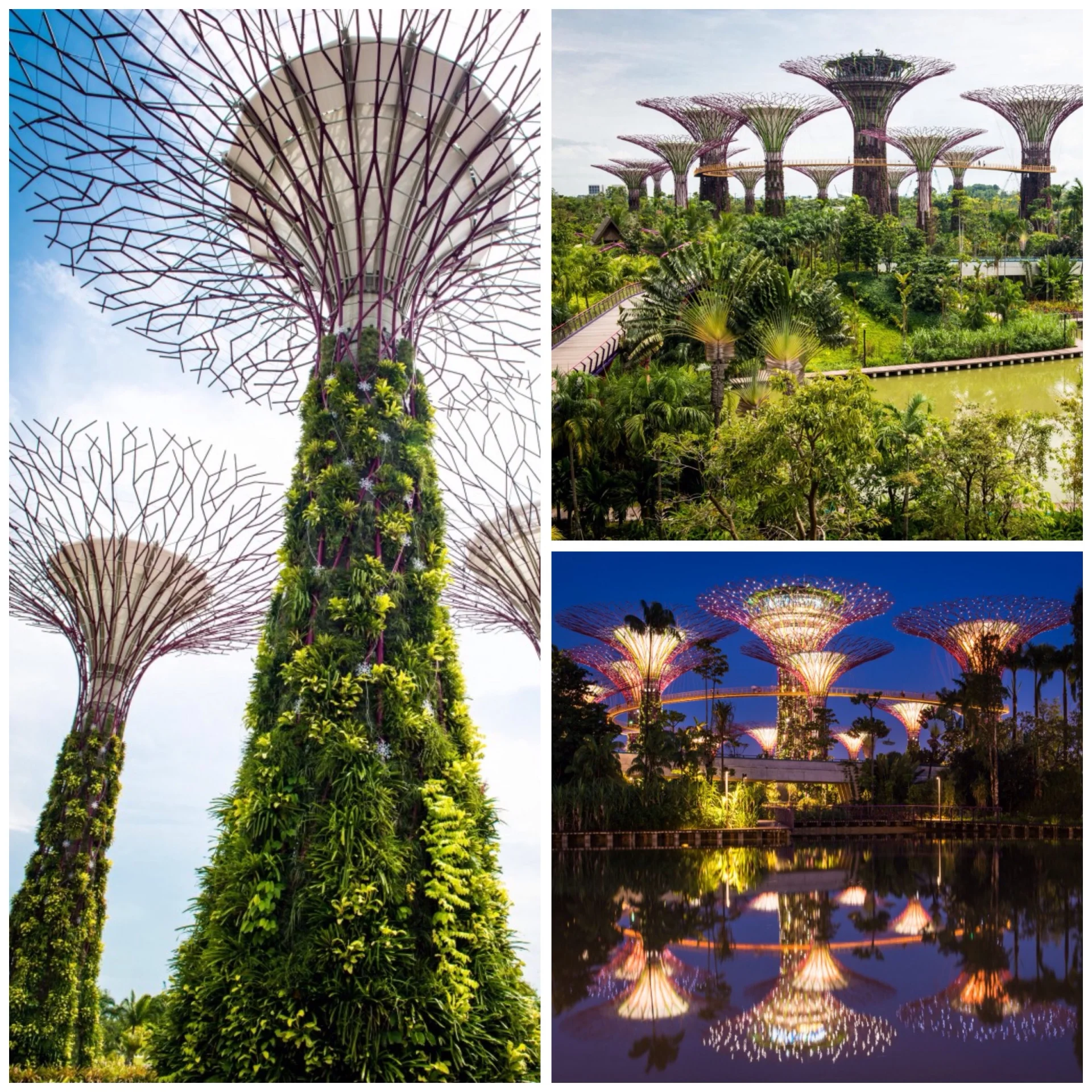 Niewiarygodne Gardens by the Bay.