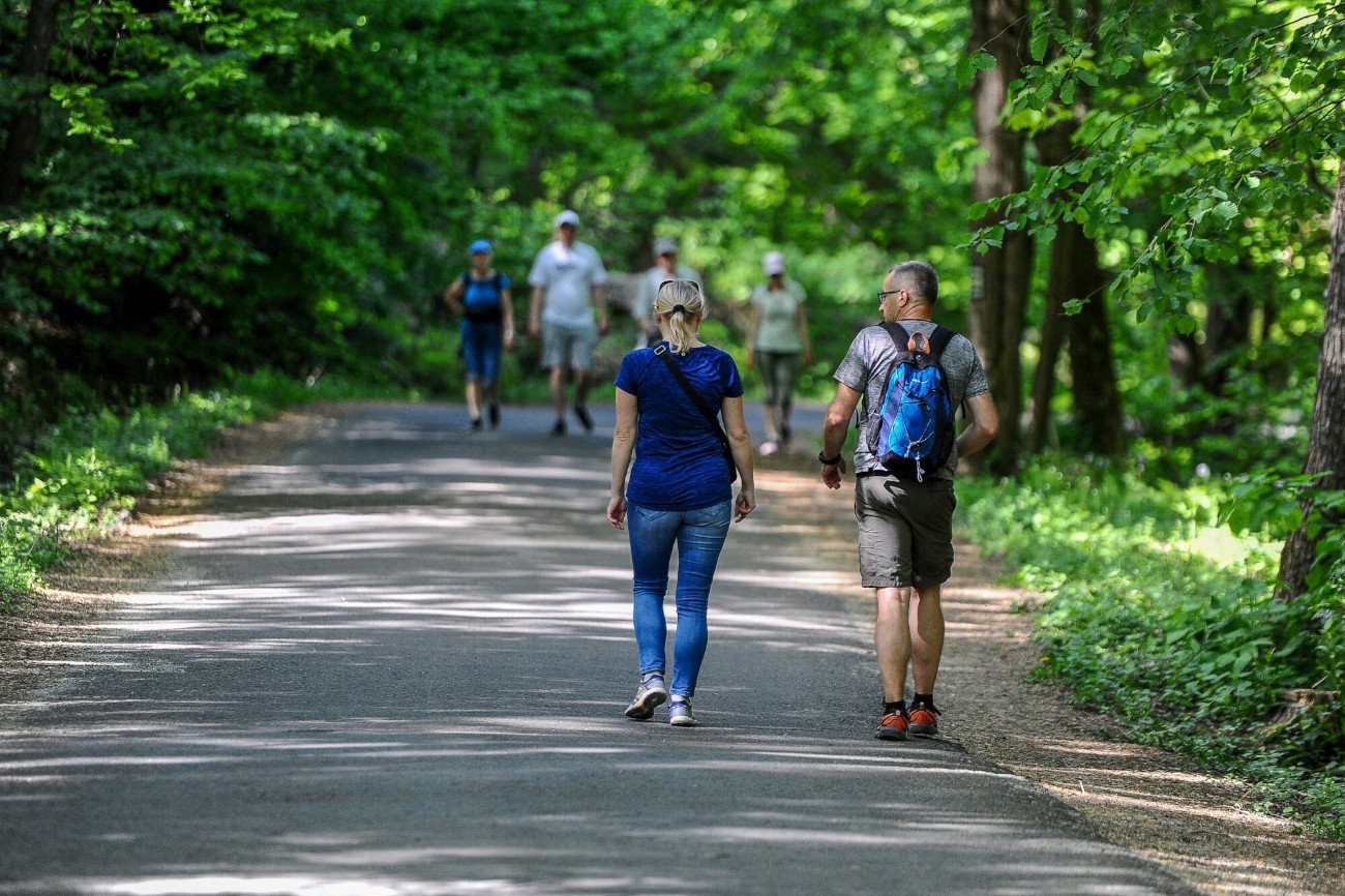 W chodzeniu dla zdrowia liczy się nie tylko ilość kroków
