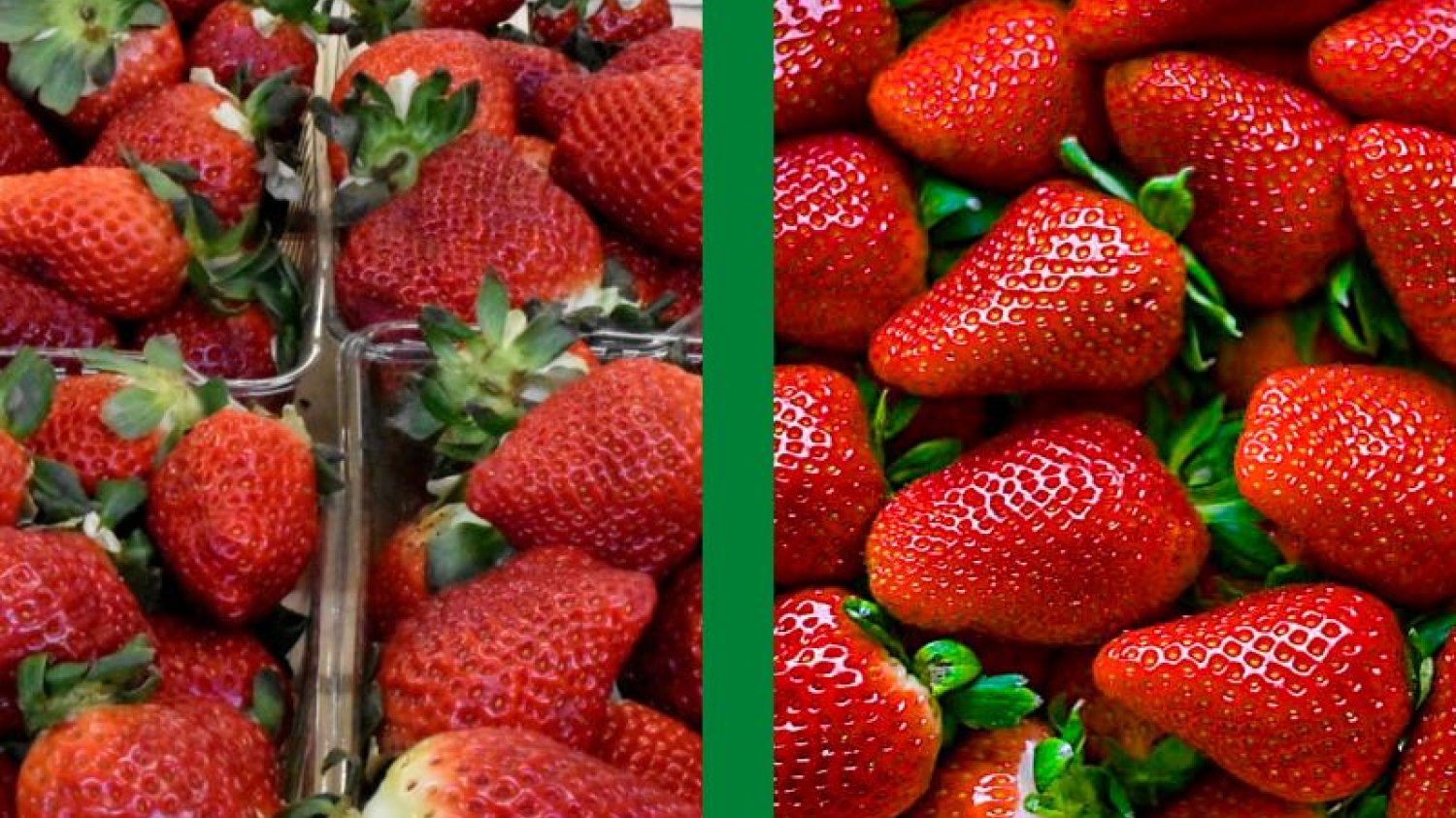 Jak odróżnić truskawki polskie od zagranicznych?