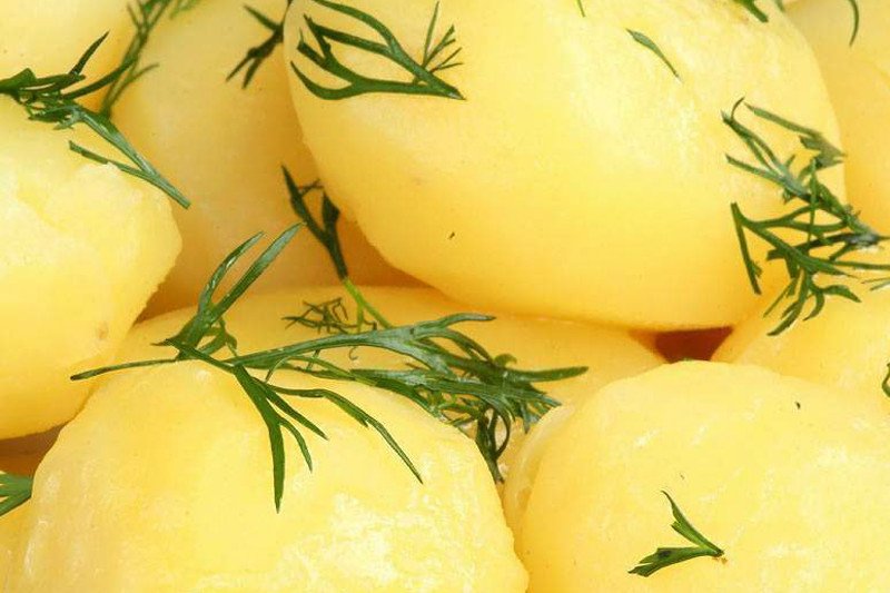 Ziemniaki z Egiptu są zarażone bakterią, która powoduje wielkie szkody gospodarcze.