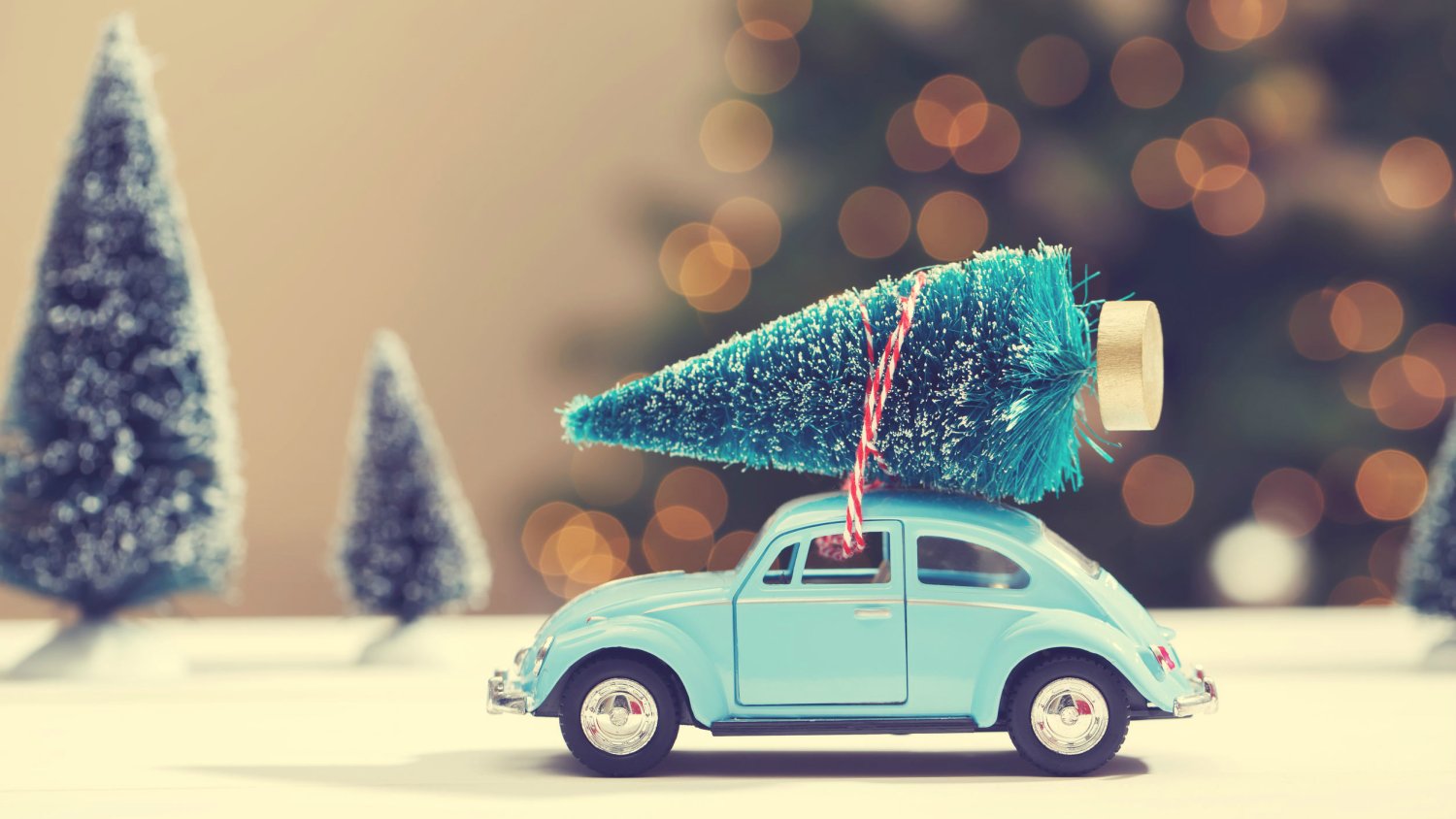 Opcji są setki, a miejsce na pełnowymiarowy świerk przeważnie jedno.