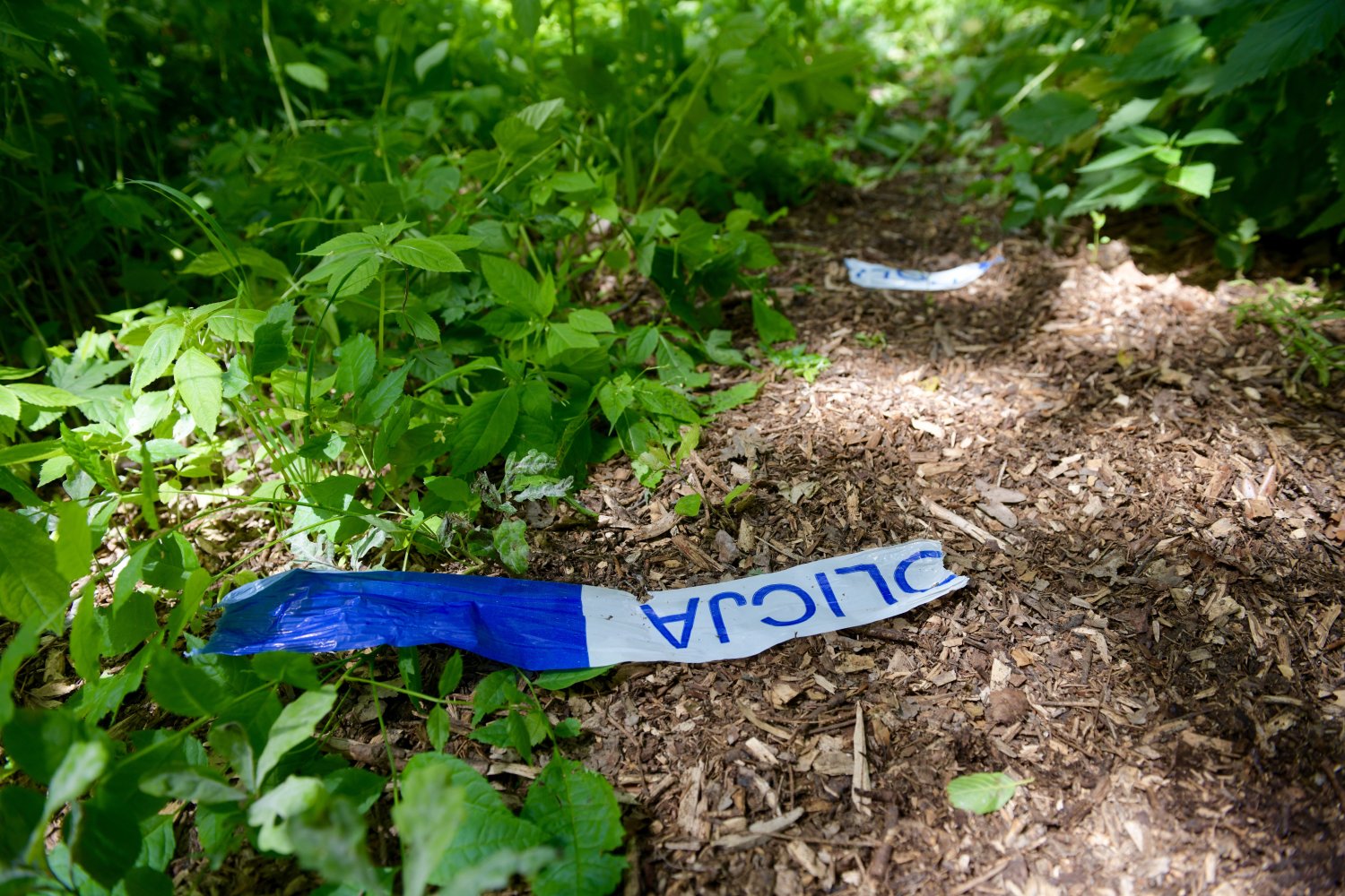 Ciało 10-letniej Kristiny znaleziono w lesie położonym sześć kilometrów od Mrowin