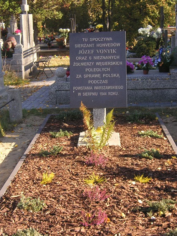 Grób w Raszynie Józefa Vonyika oraz 6 węgierskich żołnierzy, którzy polegli w powstaniu warszawskim po stronie polskiej.