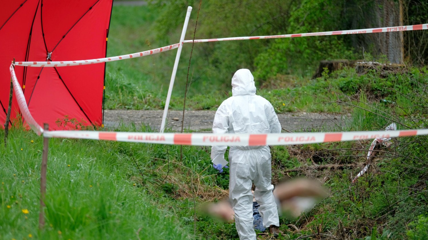 Znaleźli ciało kobiety z odciętą głową. Makabryczne odkrycie w Szumsku.