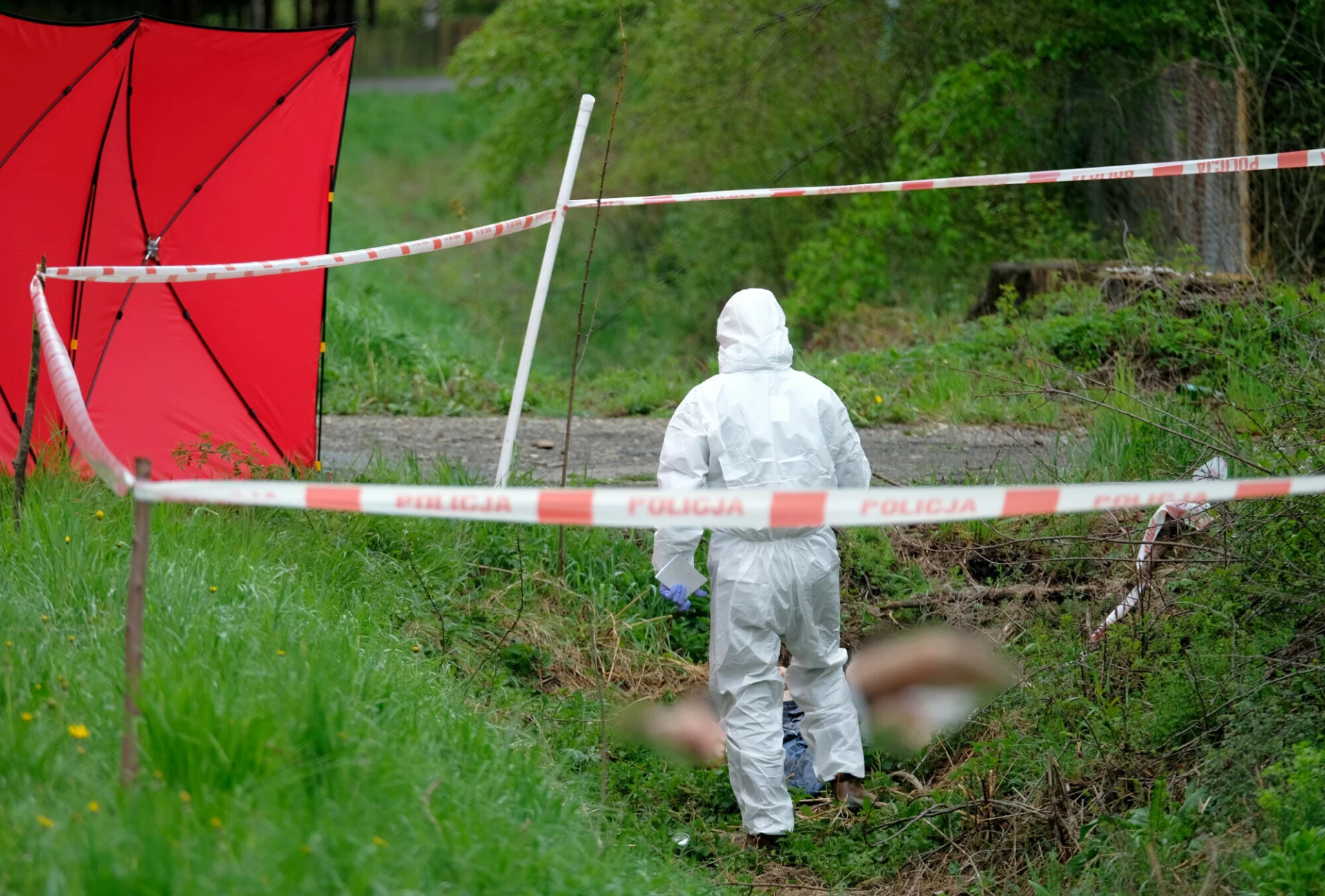 Znaleźli ciało kobiety z odciętą głową. Makabryczne odkrycie w Szumsku.