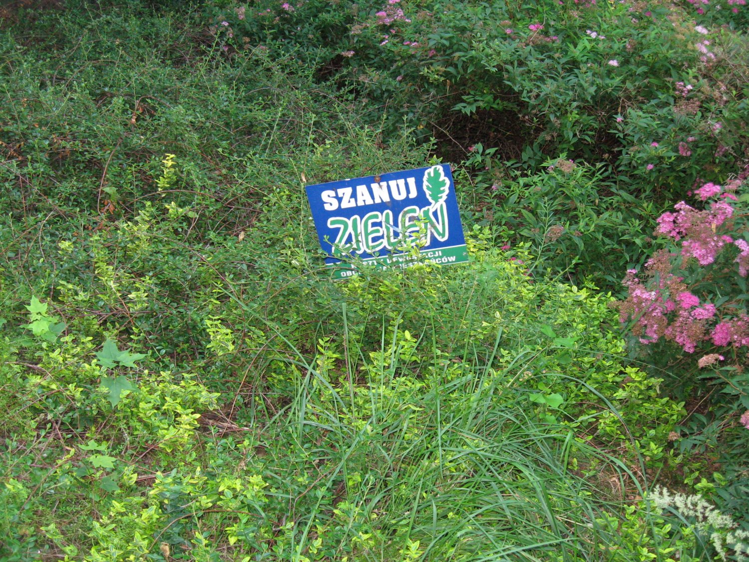 zdjęcie współczesne - pobliże skrzyżowania Franciszkańskiej i dawnych Nalewek