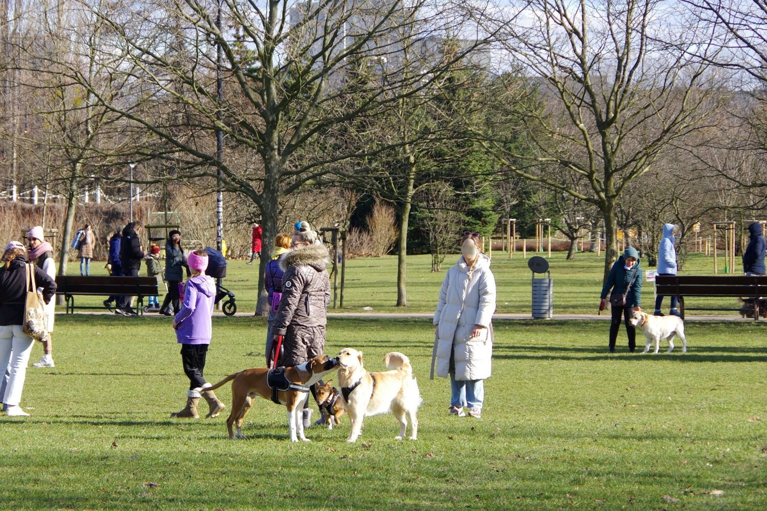 Pogoda na początek tygodnia. Może być nawet 15 stopni na plusie.