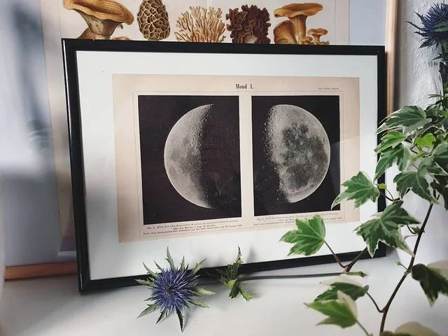 Litografia przedstawiająca fazy księżcyca