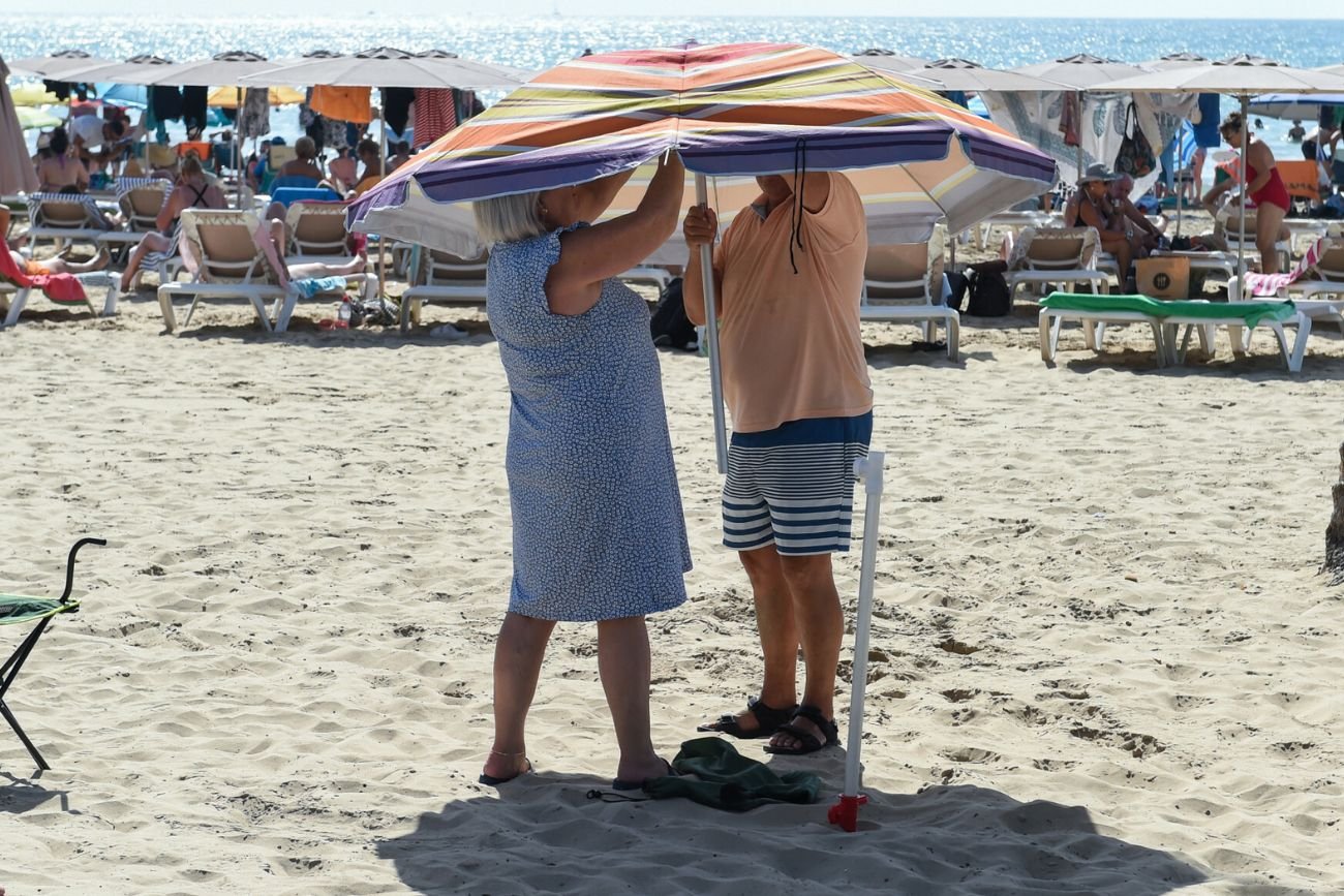 Martwe szczury na plażach w Alicante