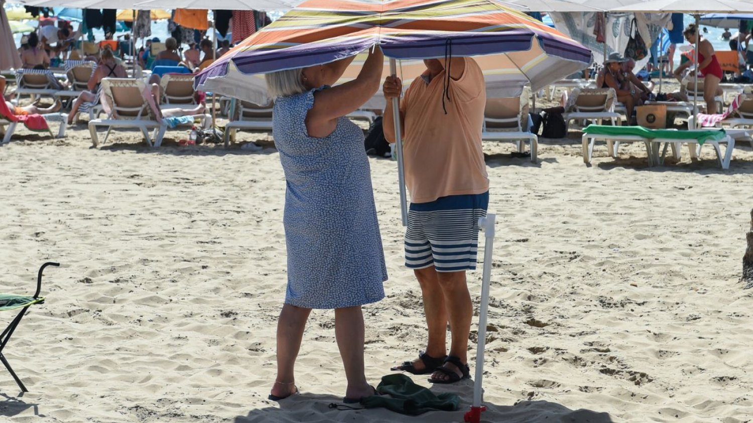 Martwe szczury na plażach w Alicante