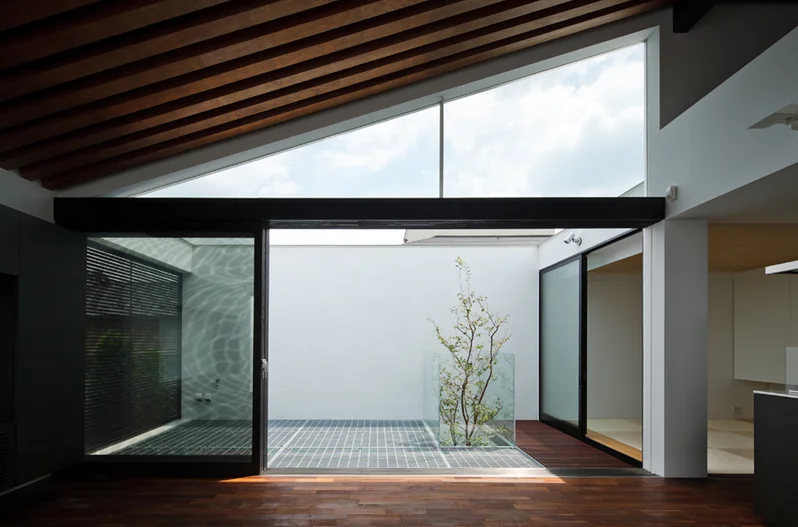 Dent by Apollo Architects