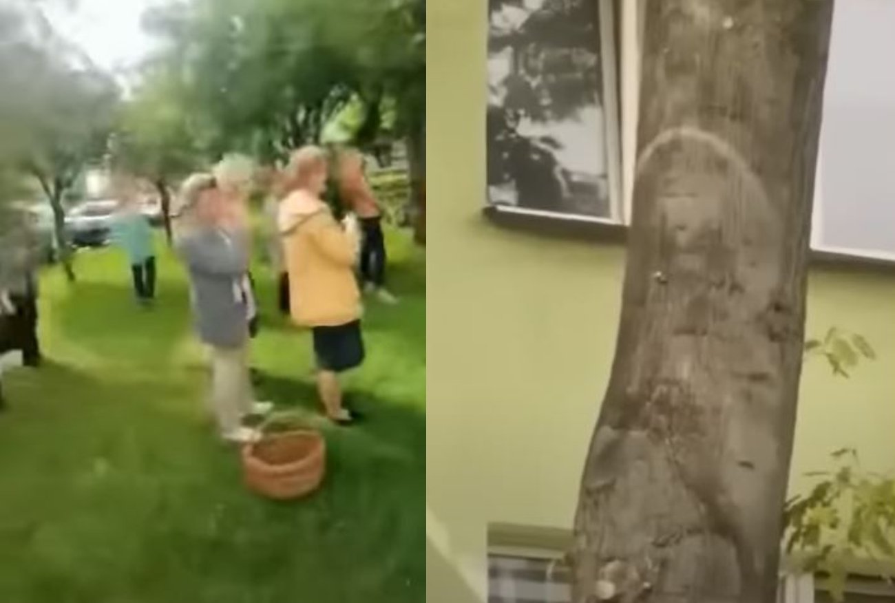 Parczew. Ruszyli pod drzewo i zaczęli się modlić. Zobaczyli Matkę Boską.