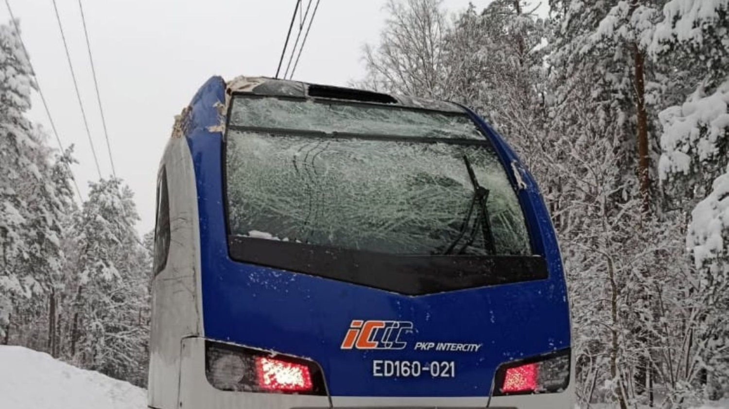 Pociąg PKP Intercity uderzył w drzewo. Są utrudnienia w ruchu Pociąg PKP Intercity uderzył w drzewo