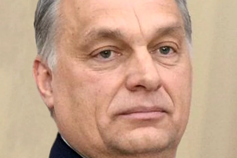 Przewodniczącym węgierskiego Fideszu jest Viktor Orbán.