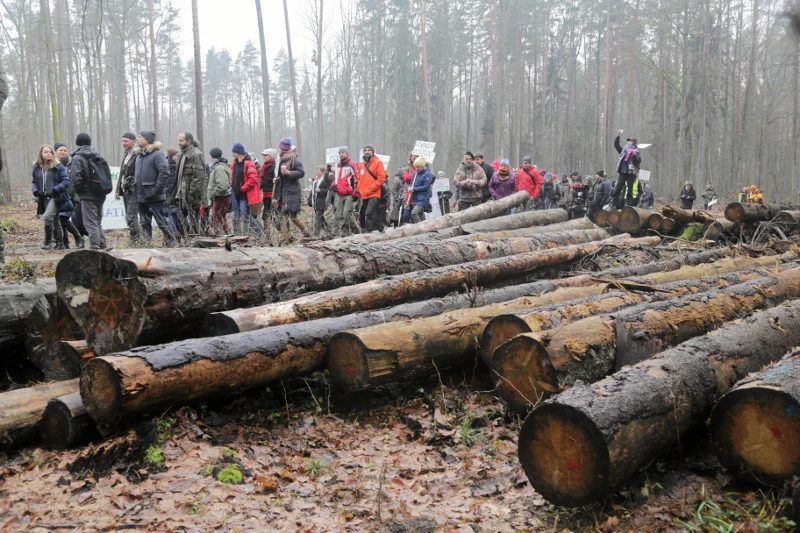 Wygląda na to, że to już koniec awantury o Puszczę Białowieską.