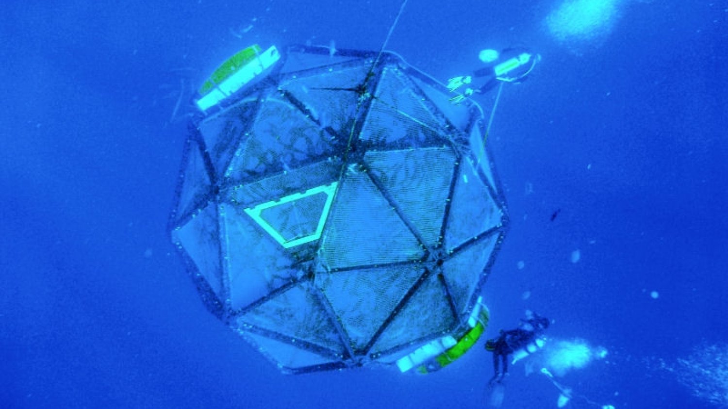 Vellala Aquapod - jeden z testowanych systemów offshore. Swobodnie dryfujące klatki z seriolami.