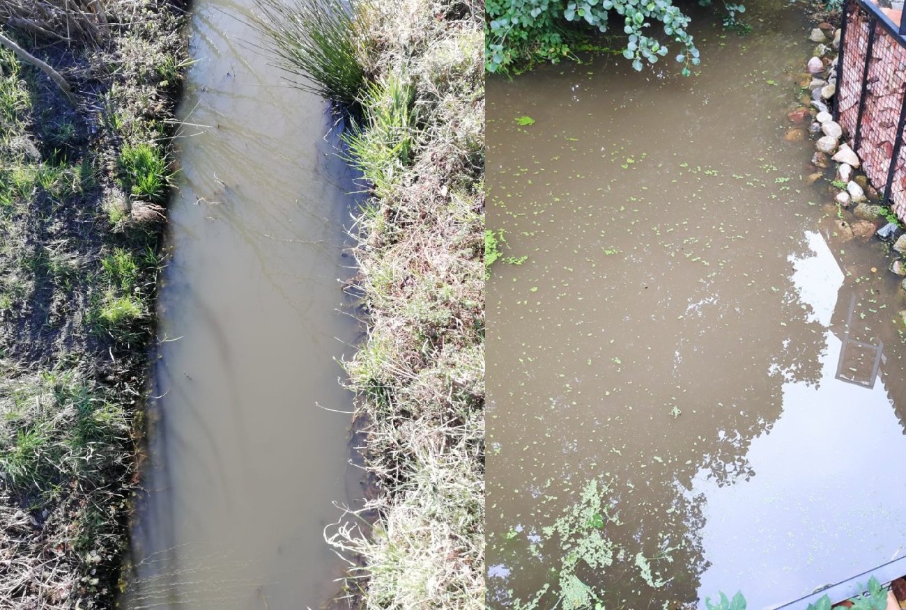 Gnój 2 km od Bałtyku. Po publikacji naTemat ruszyła interwencja poselska.