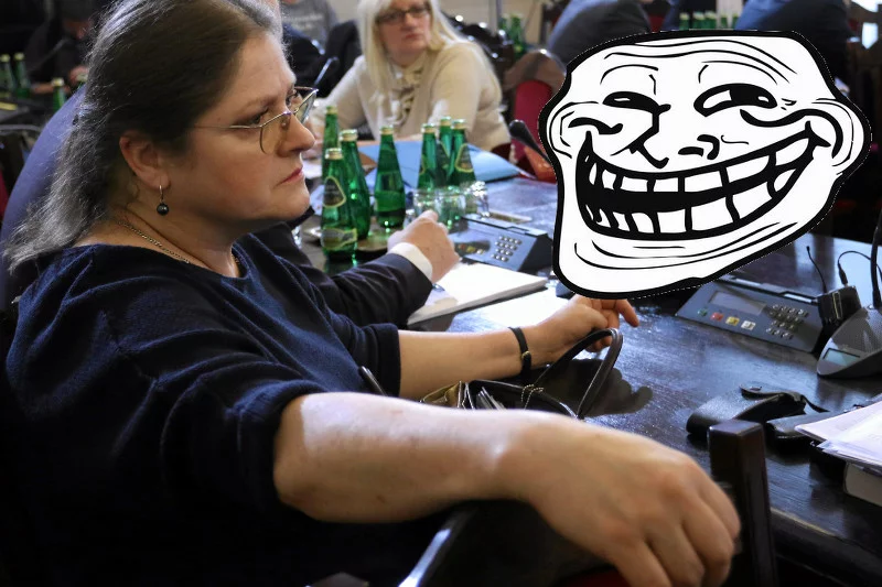 Kto to powiedział? Krystyna Pawłowicz czy anonimowy hejter?