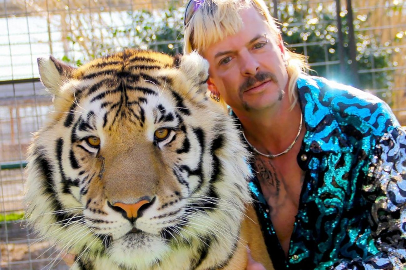 Zwiastun serialu Netflixa "Król tygrysów 2".