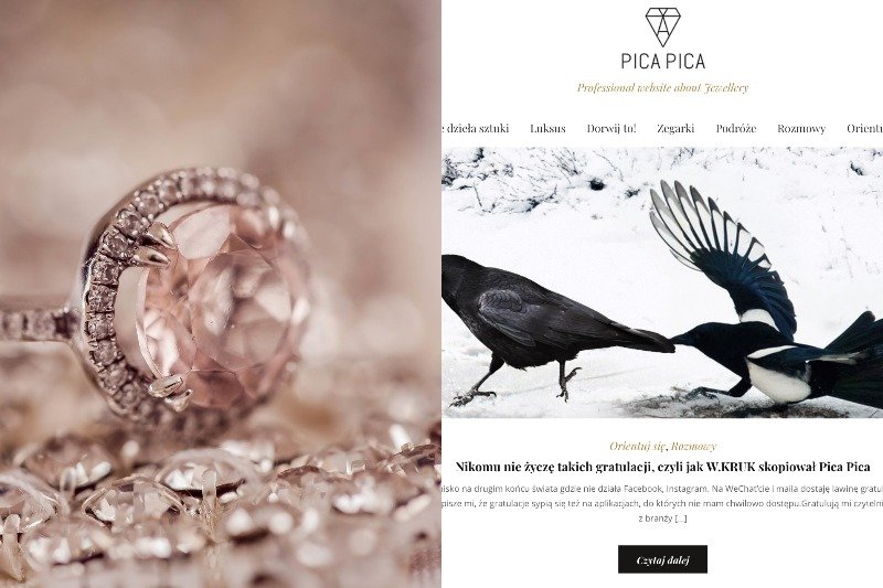 Czy W.Kruk skopiował koncepcję bloga Pica Pica? Ta sprawa poruszyła internautów