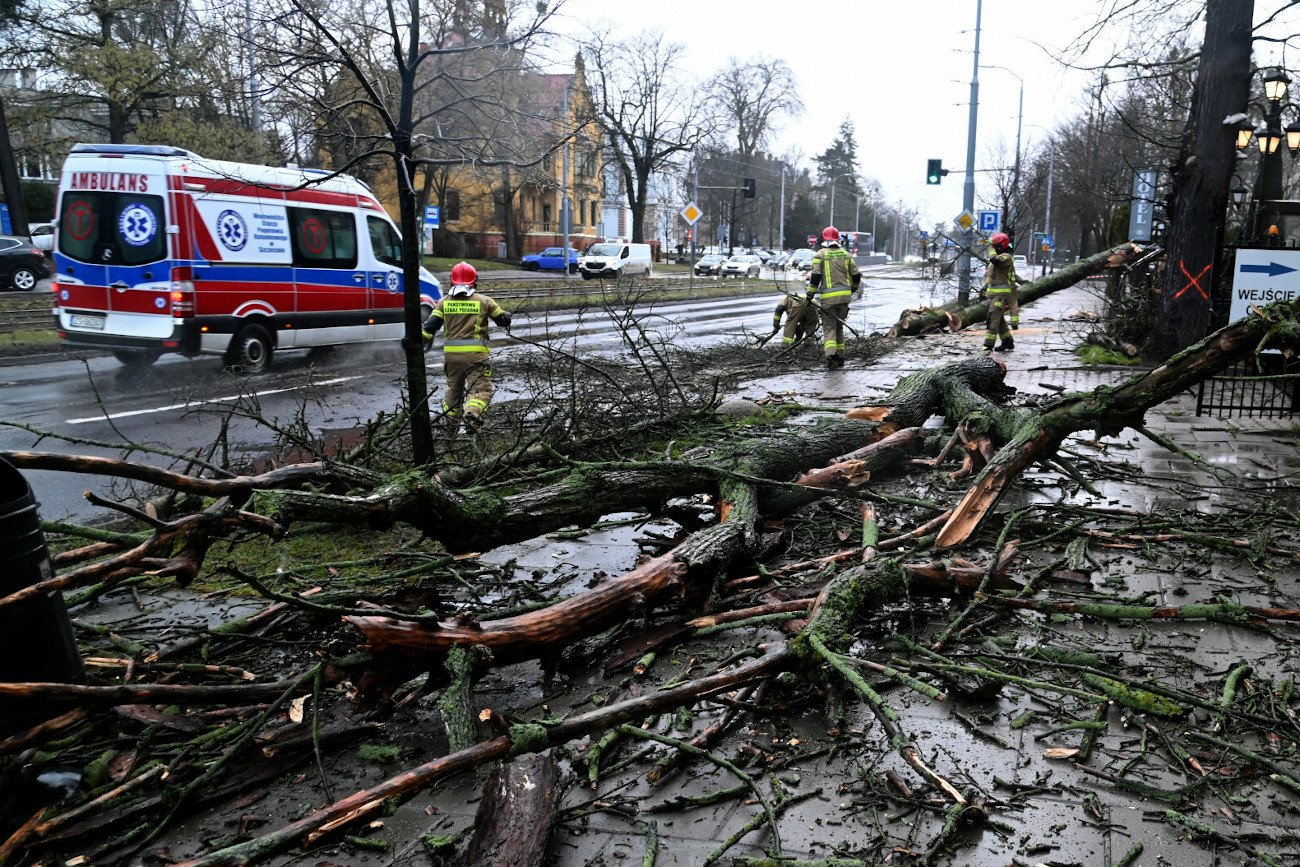 Rzecznik IMGW w rozmowie z naTemat wskazał, że już w sobotę nad Polską pojawi się nowy niż Eunice.