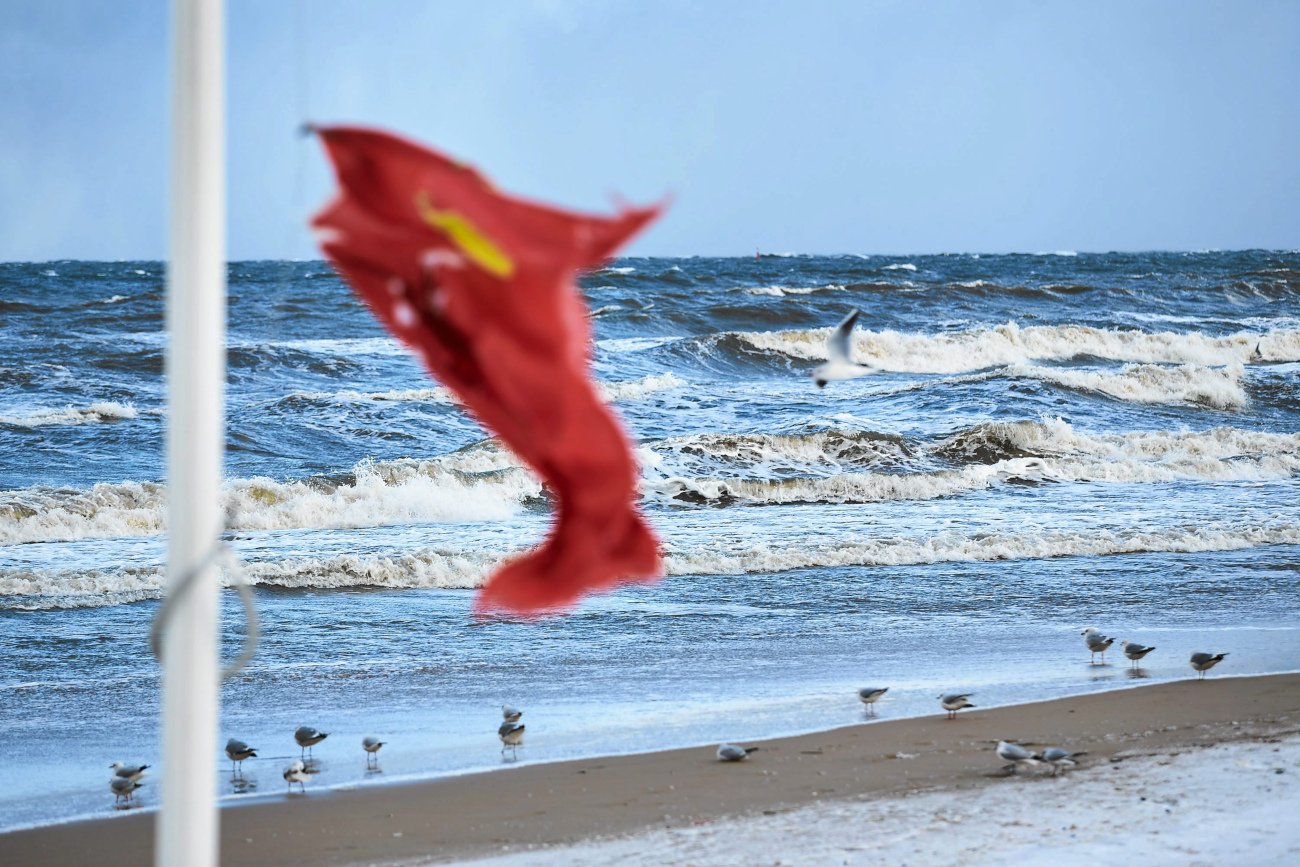 Polacy wchodzą do morza pomimo czerwonych flag. "Jakby byli wodoodporni".