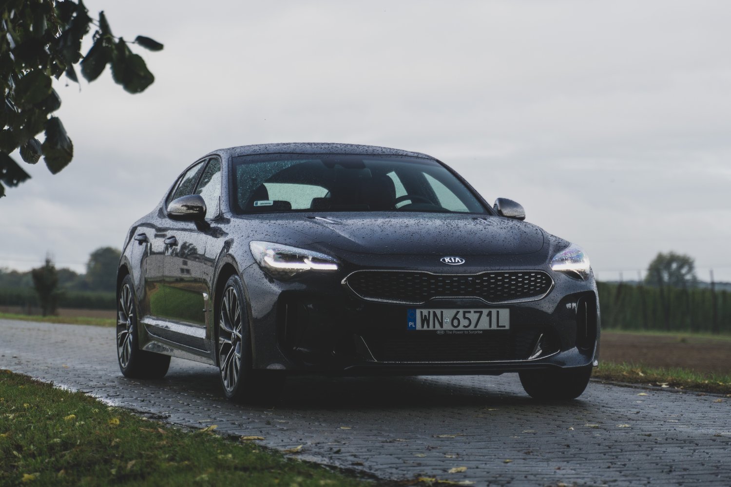 Kia Stinger dwa lata po premierze nadal wygląda bardzo świeżo.